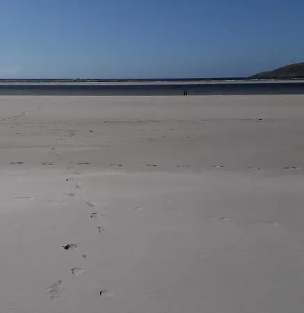 Апартаменты The Annex